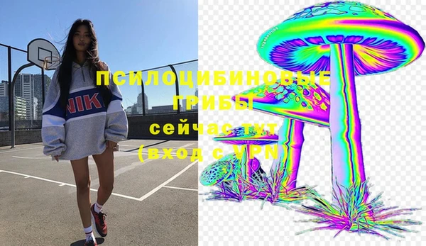 2c-b Бежецк
