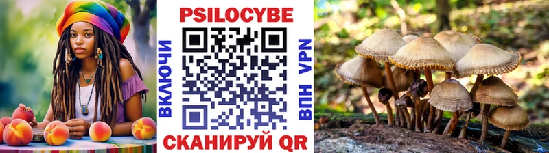 Галлюциногенные грибы мухоморы  что такое   Тарко-Сале 